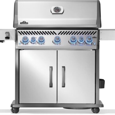 Napoleon Rogue PRO-S 625 Stainless